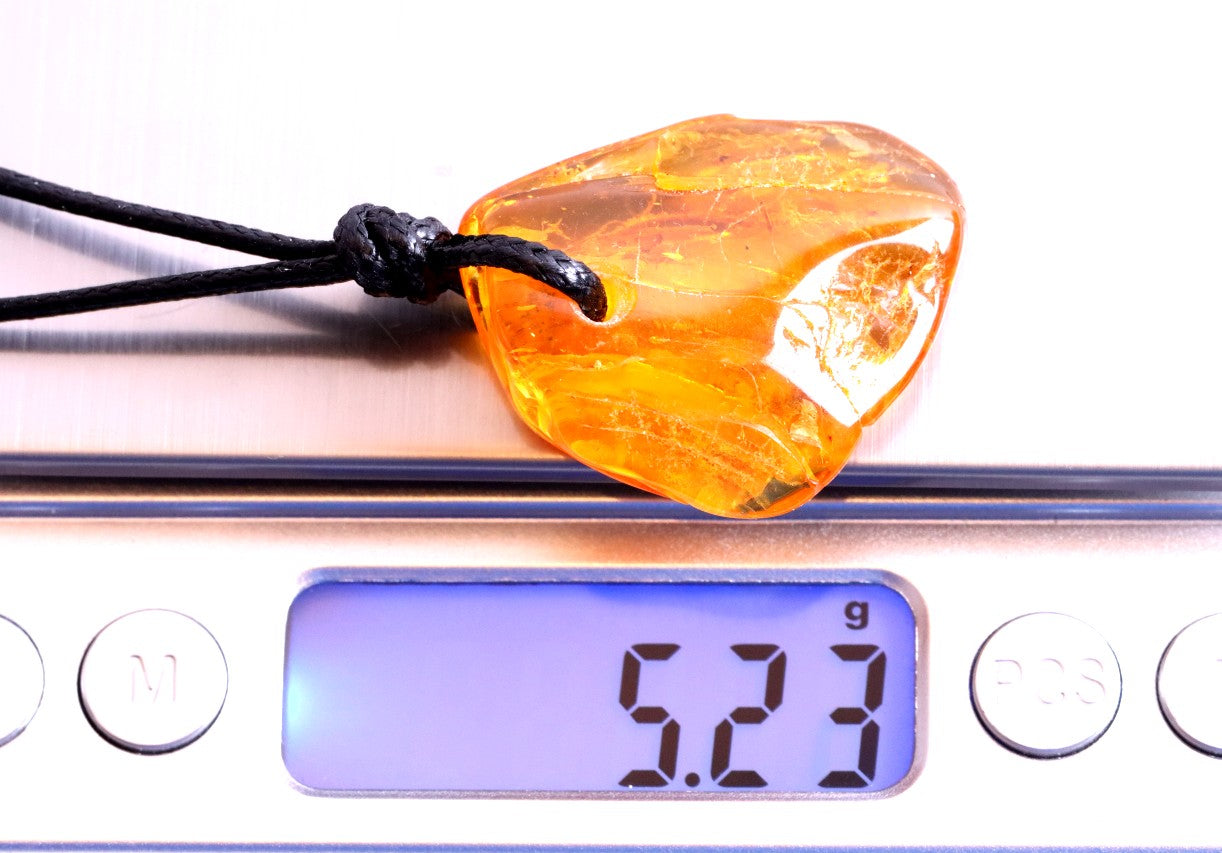 Insect in Baltic Amber Amulet Pendant