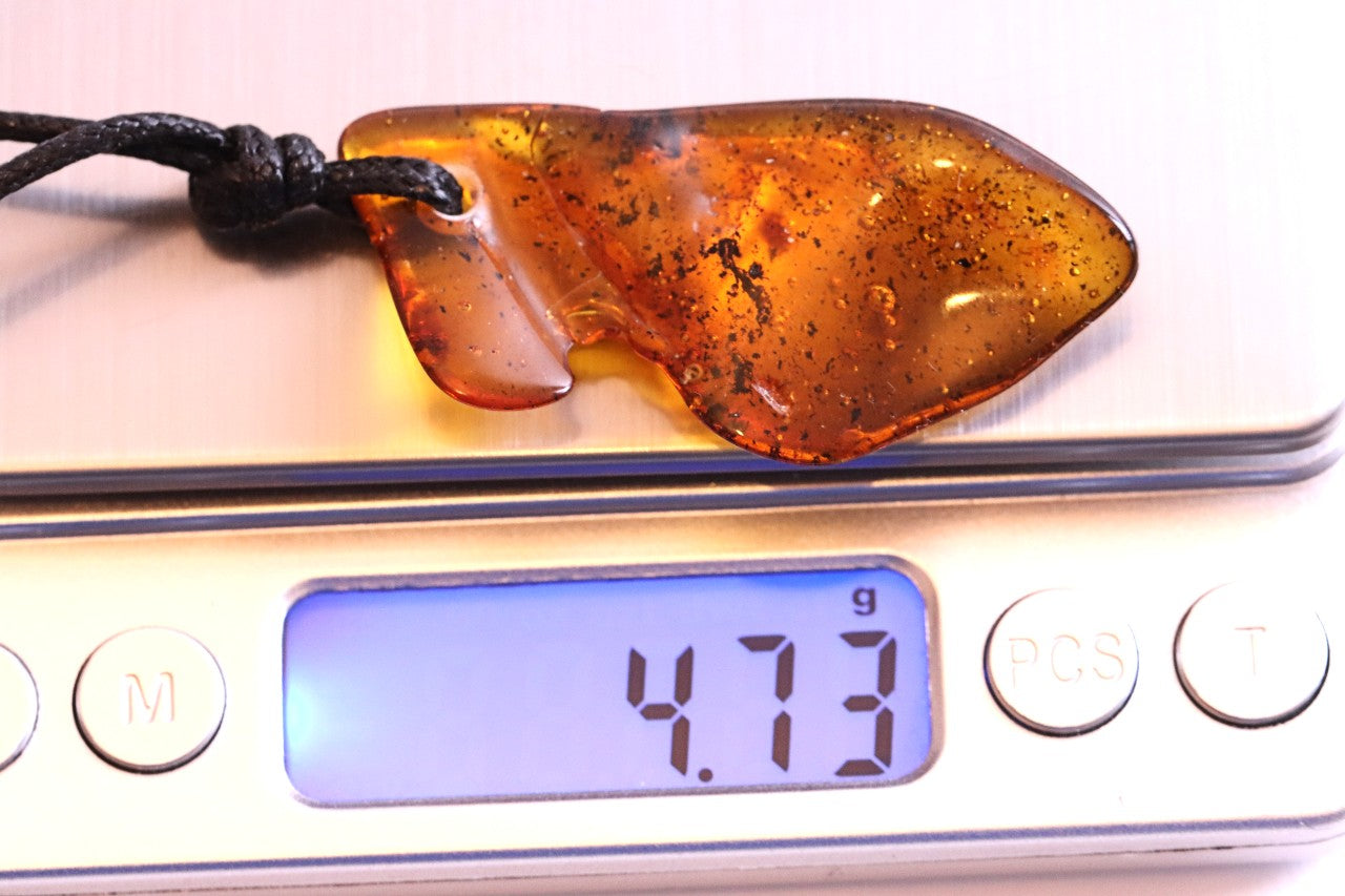 40 Million-Year-Old Insect Inclusion Amulet with Air Bubbles