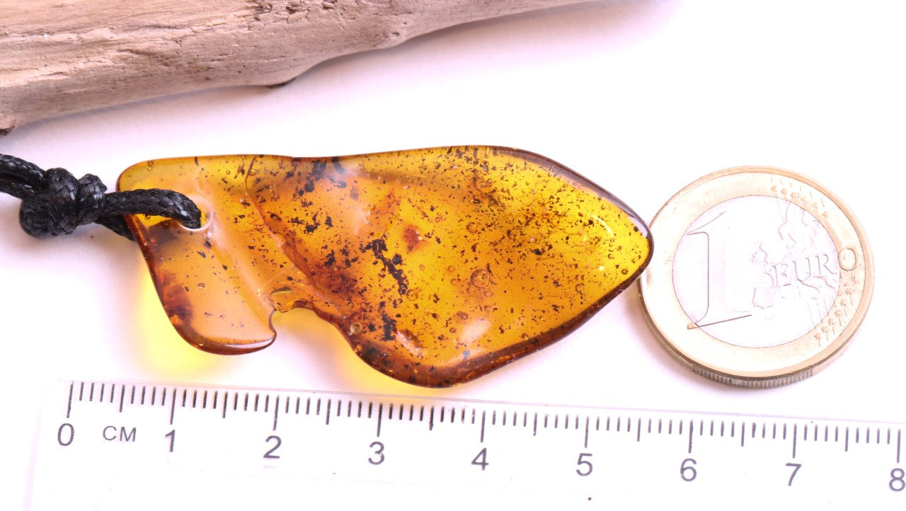 40 Million-Year-Old Insect Inclusion Amulet with Air Bubbles