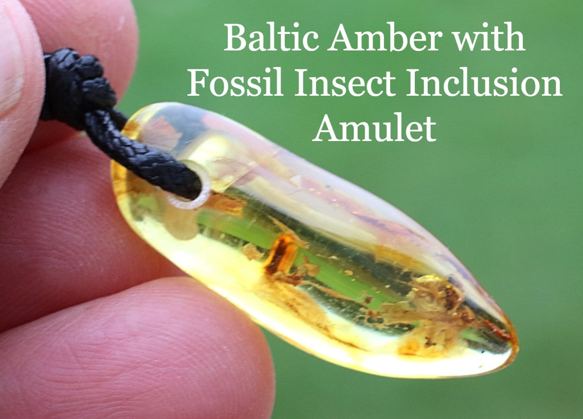 Baltic Amber Amulet Gem with Insect Inclusion