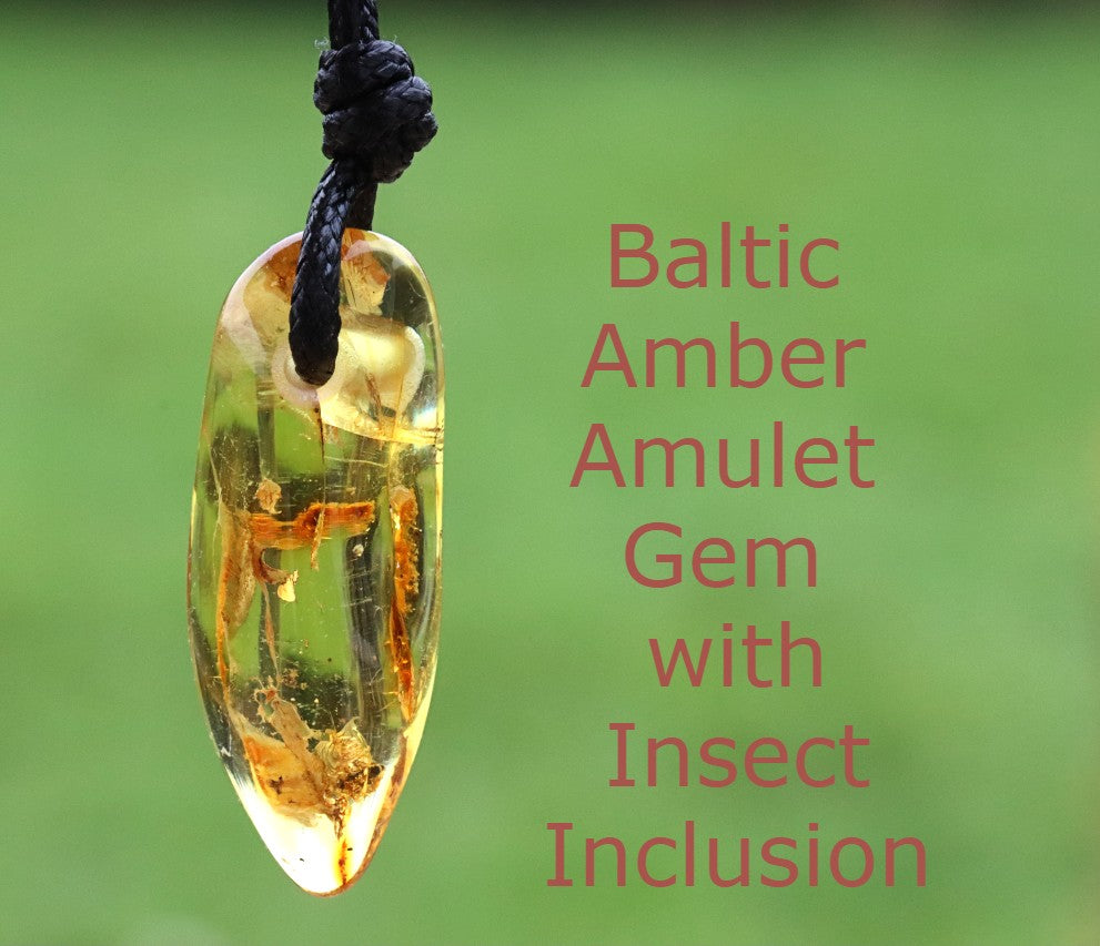Baltic Amber Amulet Gem with Insect Inclusion
