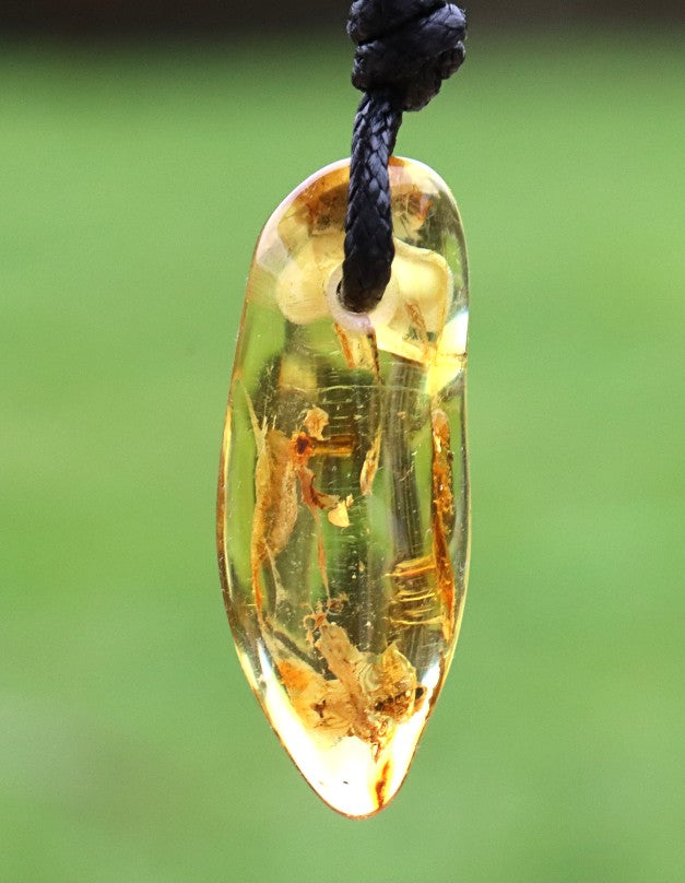 Baltic Amber Amulet Gem with Insect Inclusion