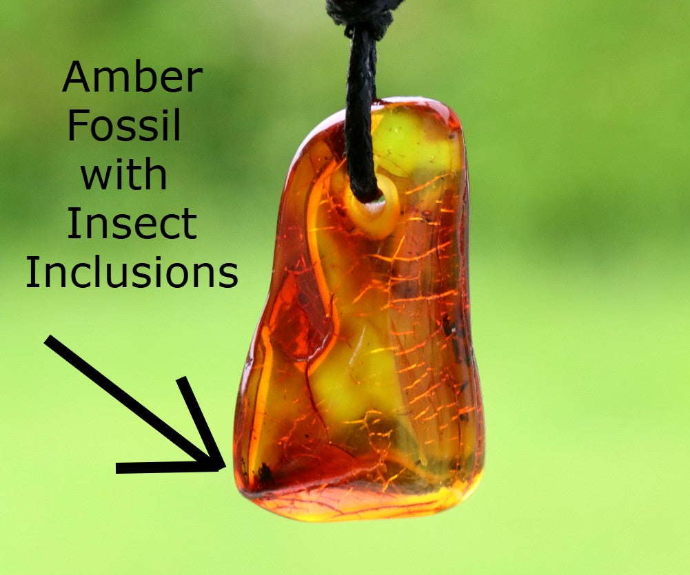Insect Inclusion Baltic Amber Amulet Pendant Protection Amulet