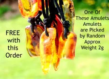 Baltic Amber Amulet Pendant with Free Extra Amulet
