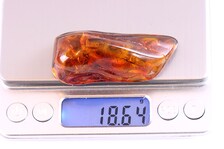 Hand-Polished Amber