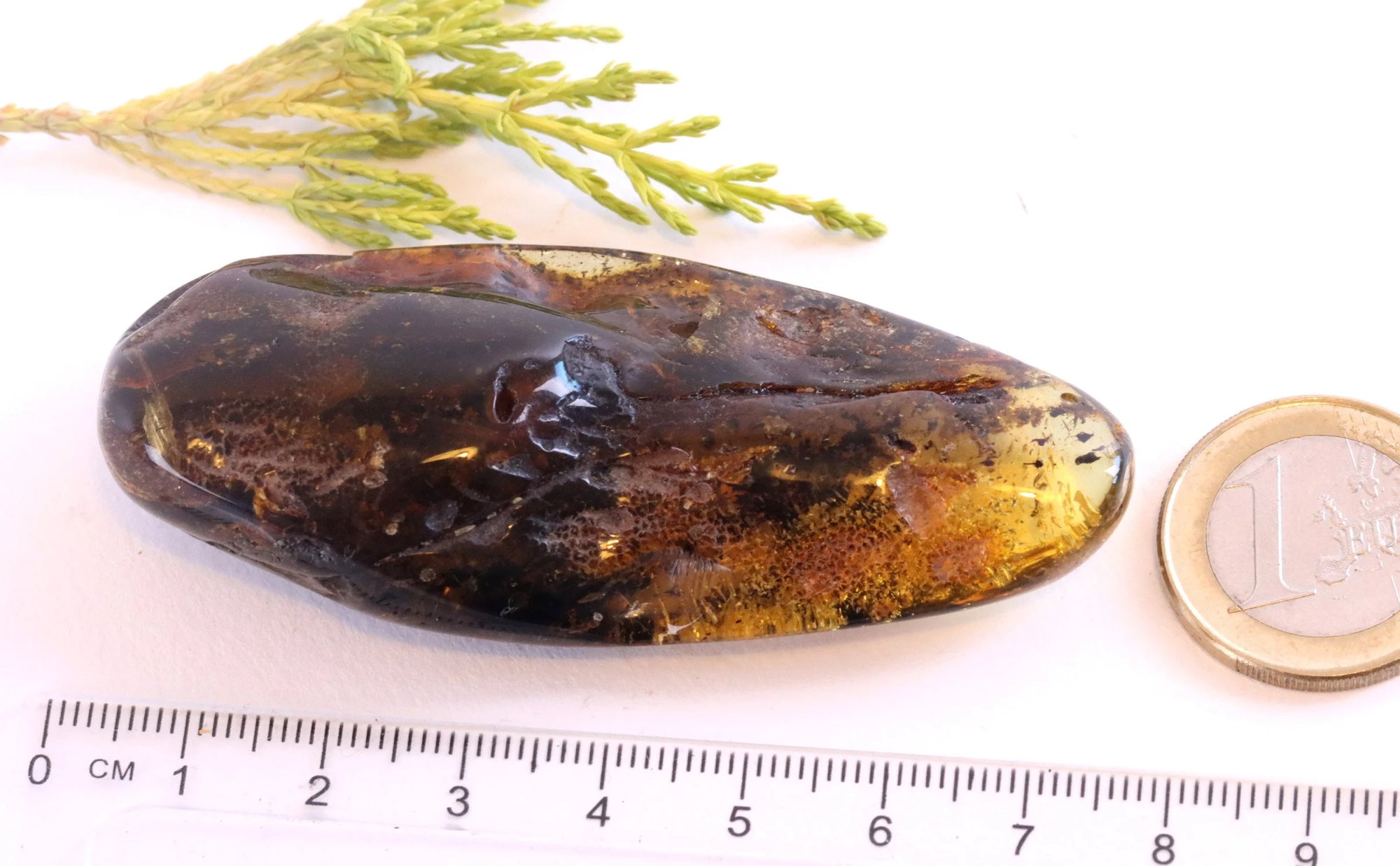 Natural Baltic Amber Gemstone