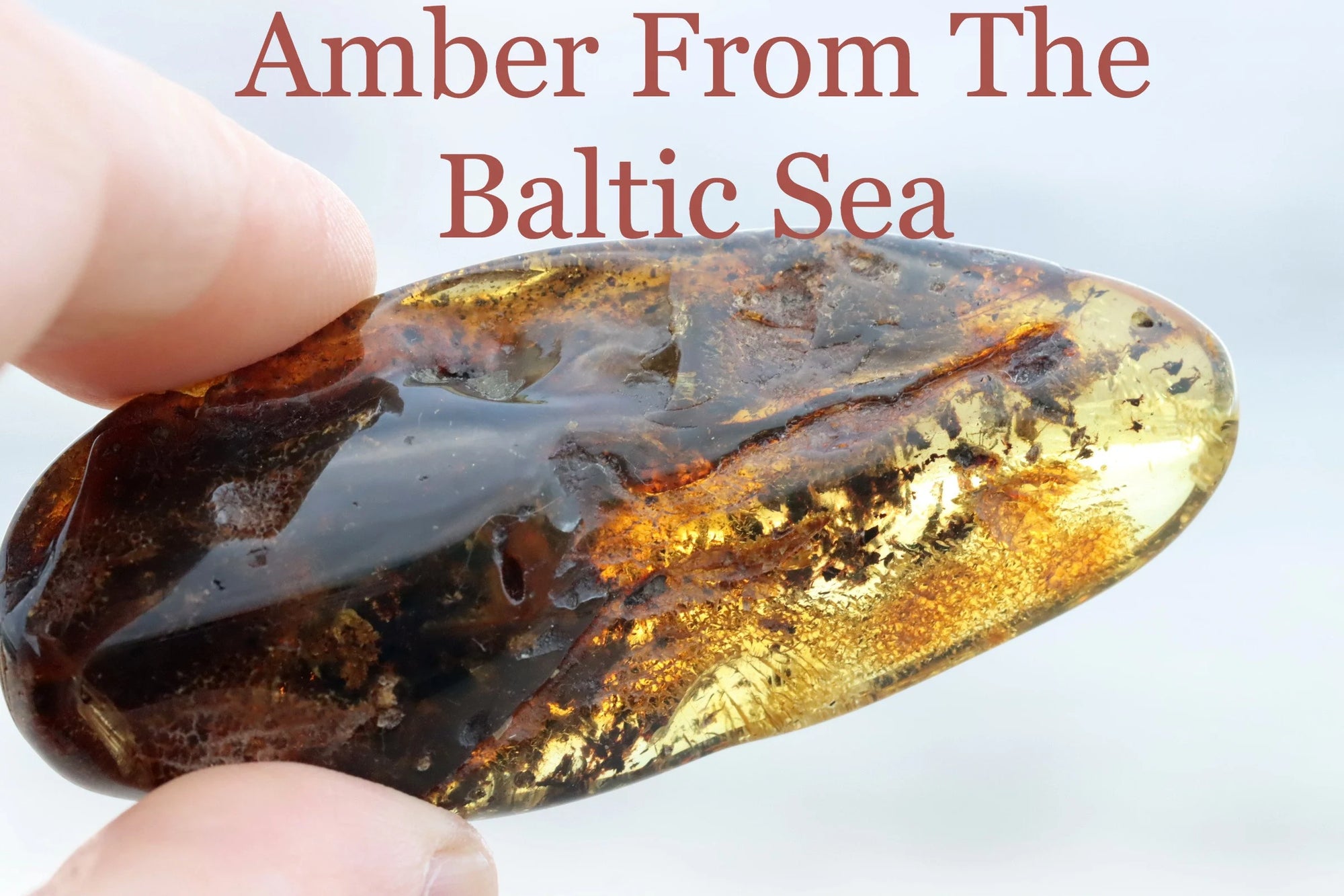 Natural Baltic Amber Gemstone