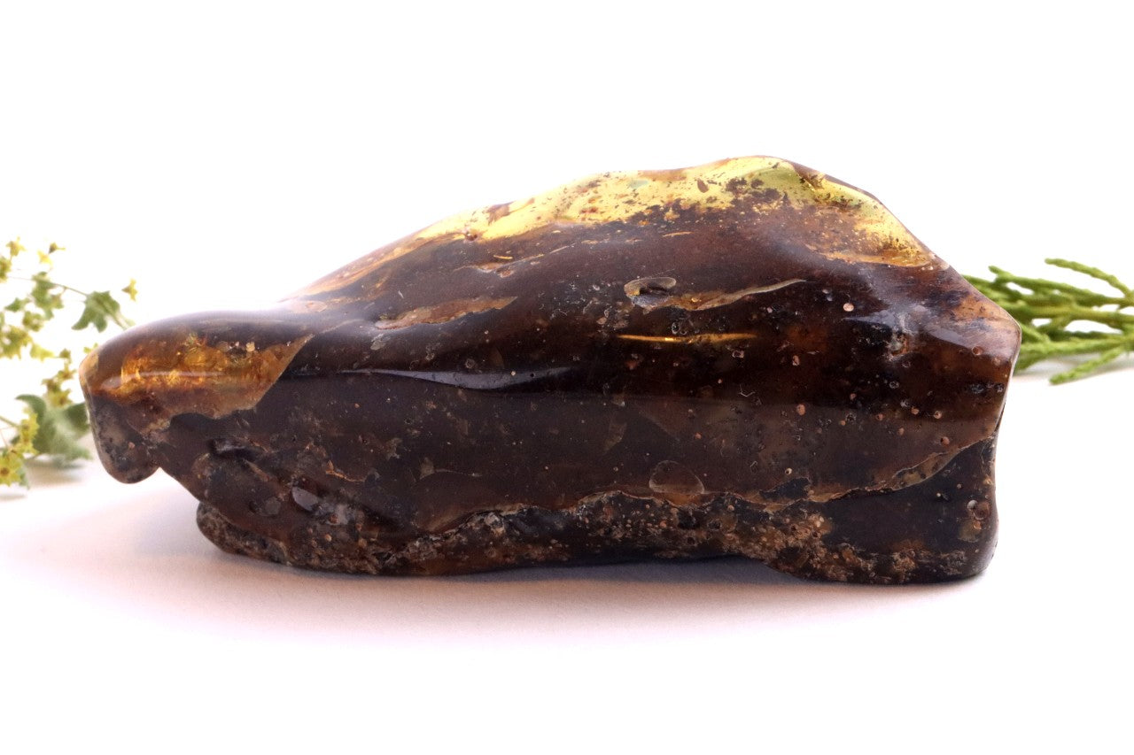 Large Baltic Amber Gem Natural Quirky Gemstone