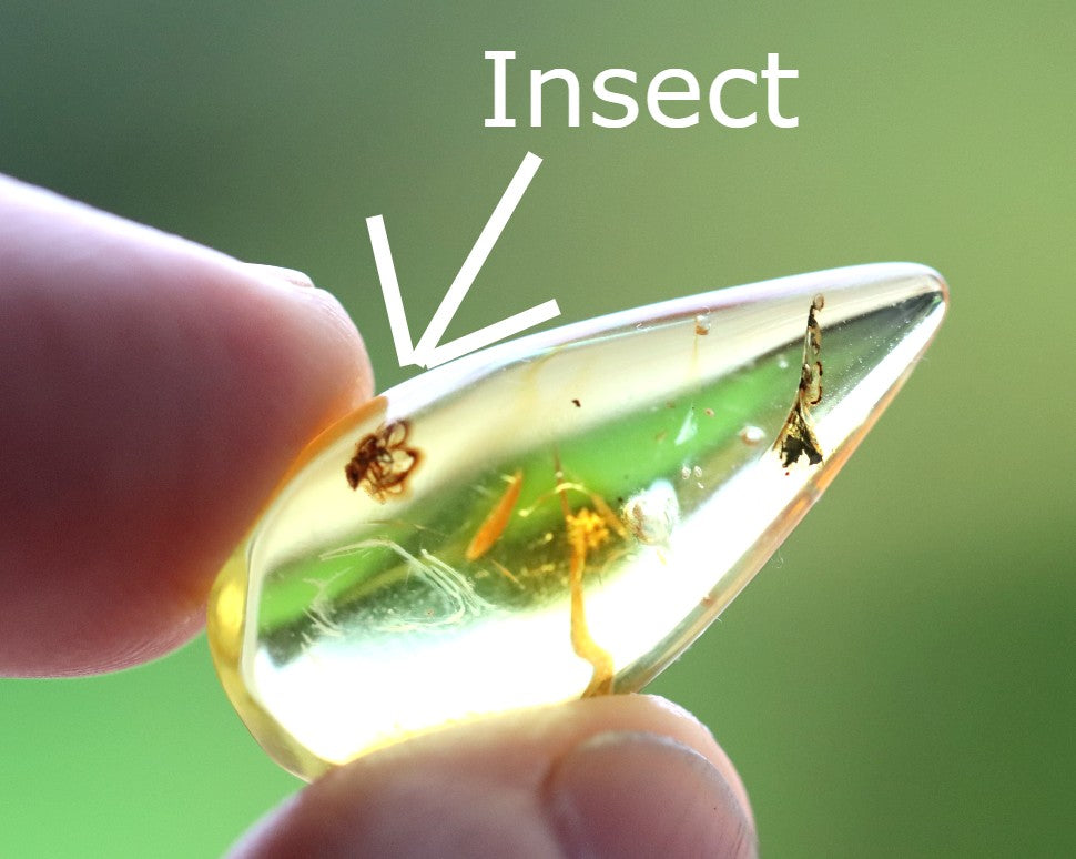 Baltic Amber Fossil with Insect Inclusion