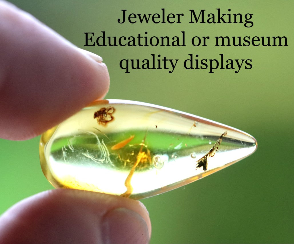 Baltic Amber Fossil with Insect Inclusion