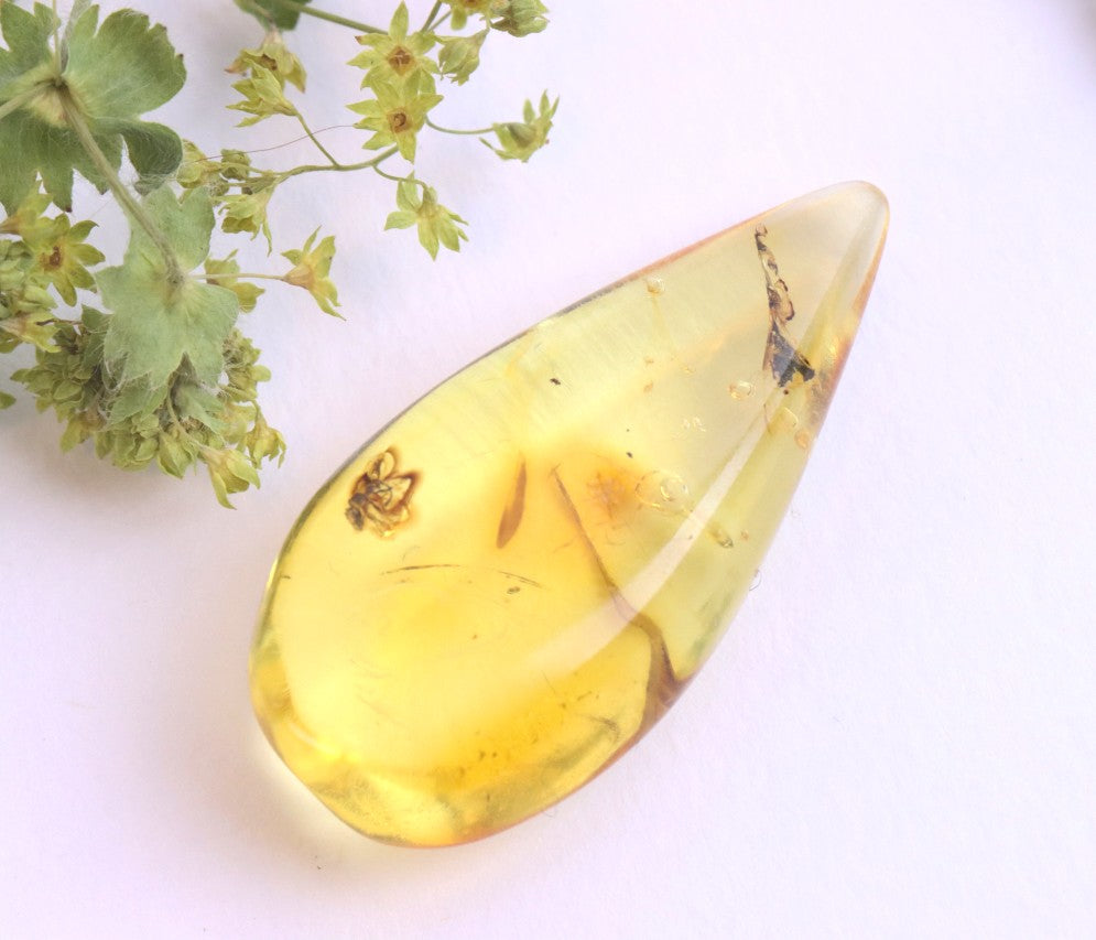 Baltic Amber Fossil with Insect Inclusion