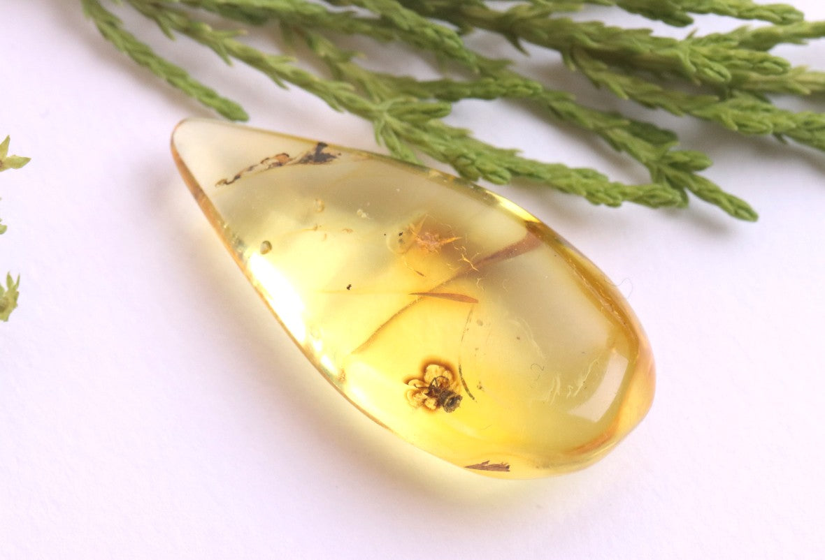 Baltic Amber Fossil with Insect Inclusion