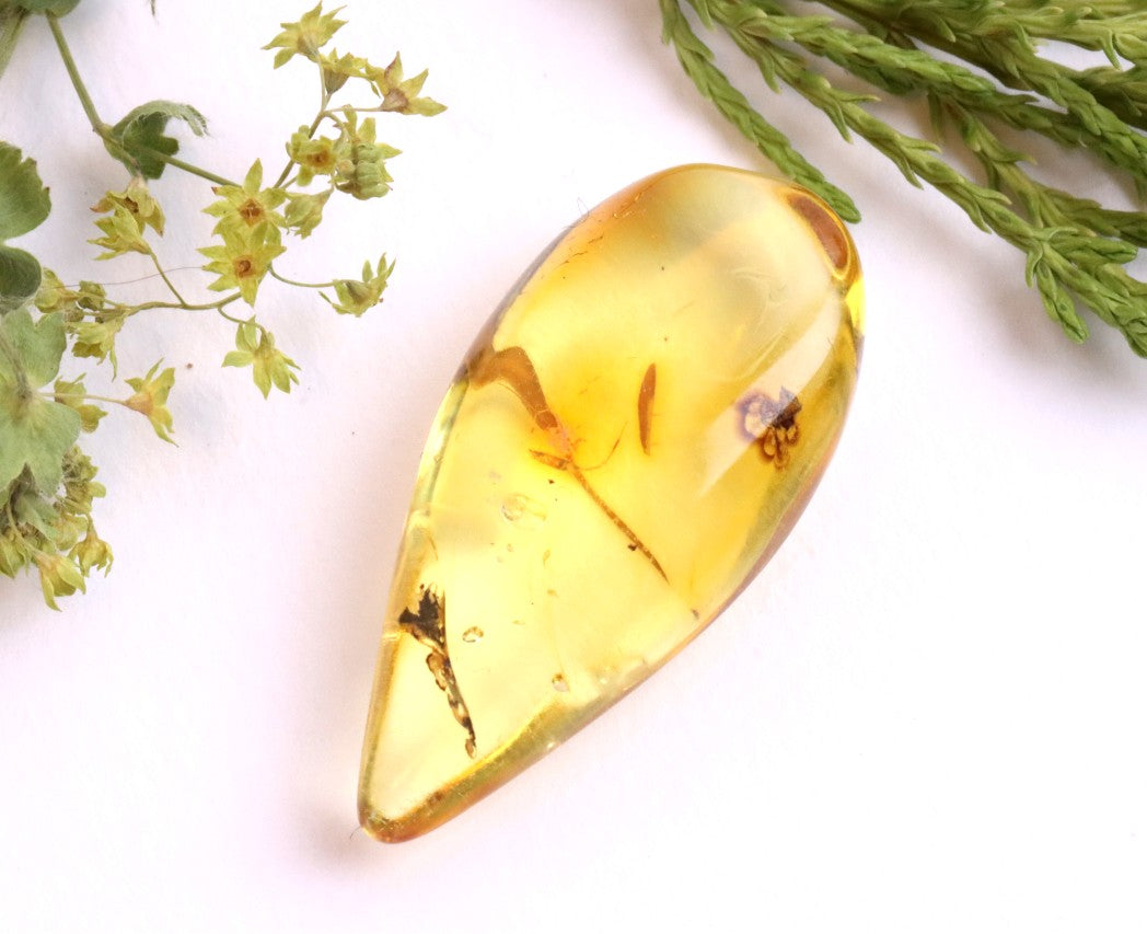 Baltic Amber Fossil with Insect Inclusion