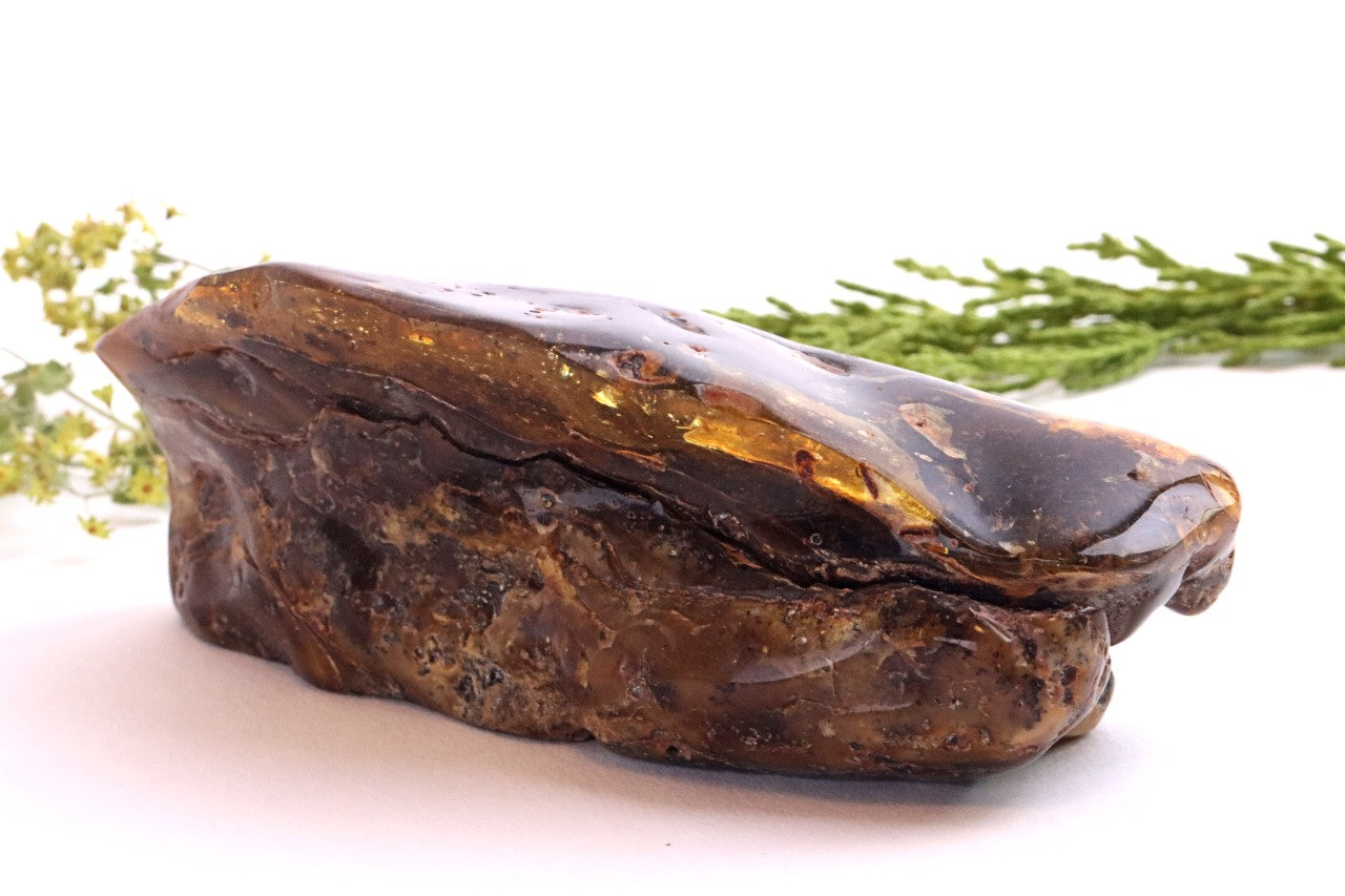 Large Baltic Amber Gem Natural Quirky Gemstone