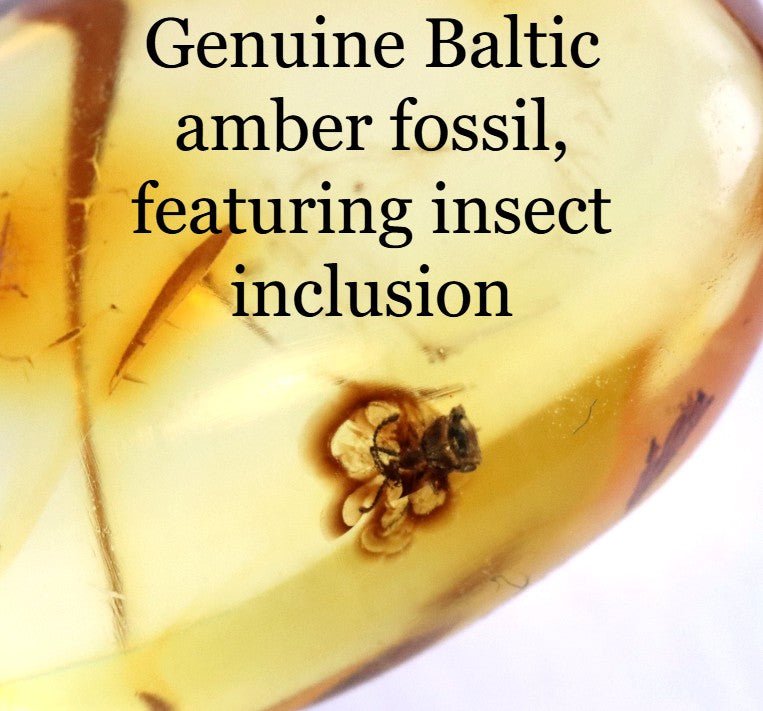 Baltic Amber Fossil with Insect Inclusion