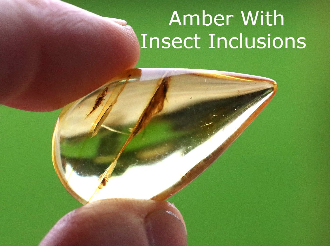 Authentic Amber With Insect Inclusion
