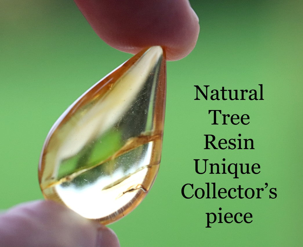 Authentic Amber With Insect Inclusion