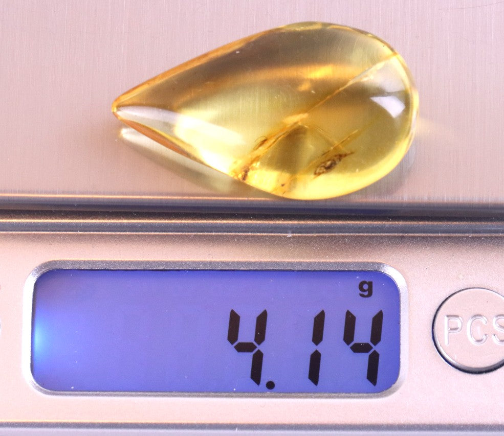 Authentic Amber With Insect Inclusion