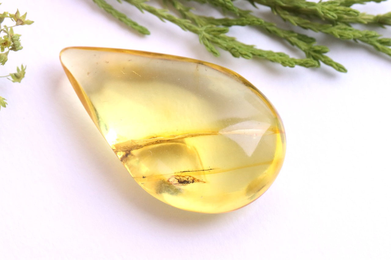 Authentic Amber With Insect Inclusion