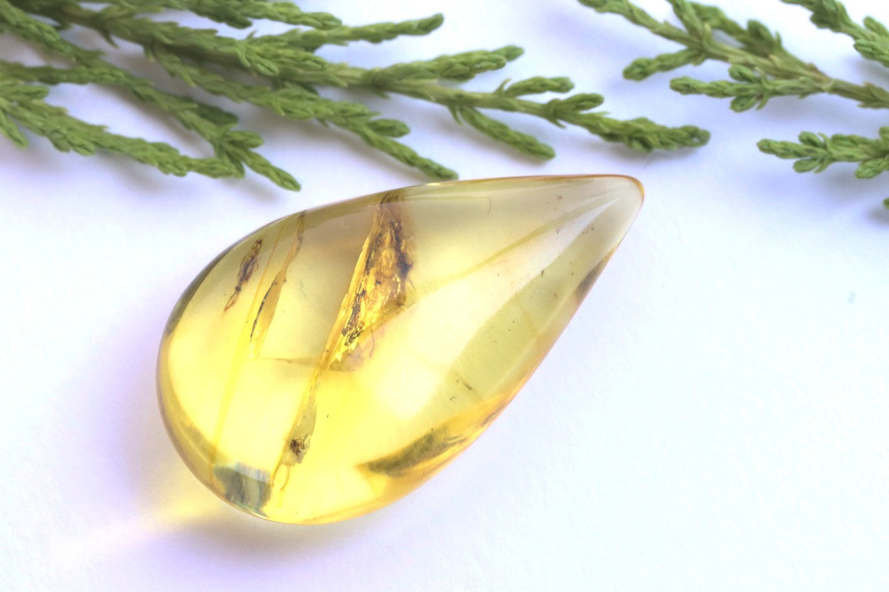 Authentic Amber With Insect Inclusion