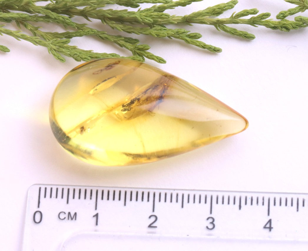 Authentic Amber With Insect Inclusion