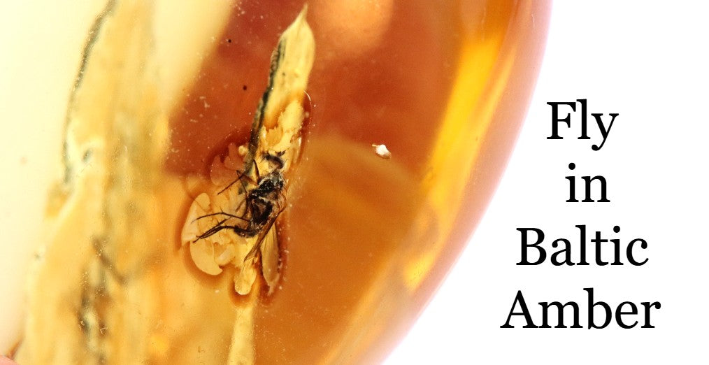 Authentic Amber With Insect Inclusion