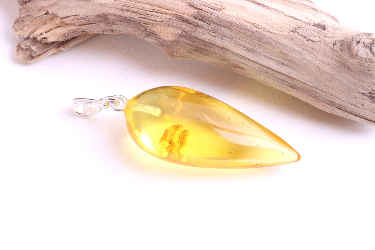 Genuine Baltic Amber Pendant with Insect