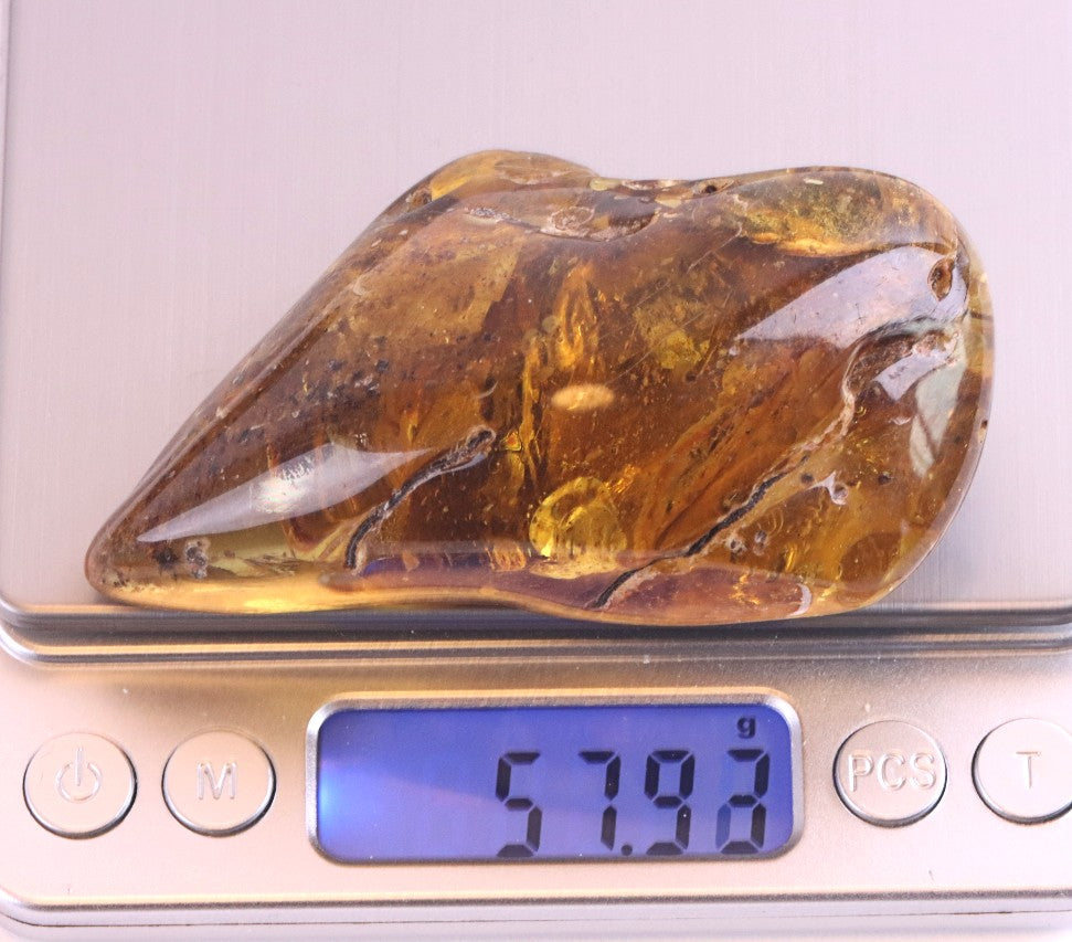 Large Baltic Amber Gem with Rare Inclusion & Air Bubbles