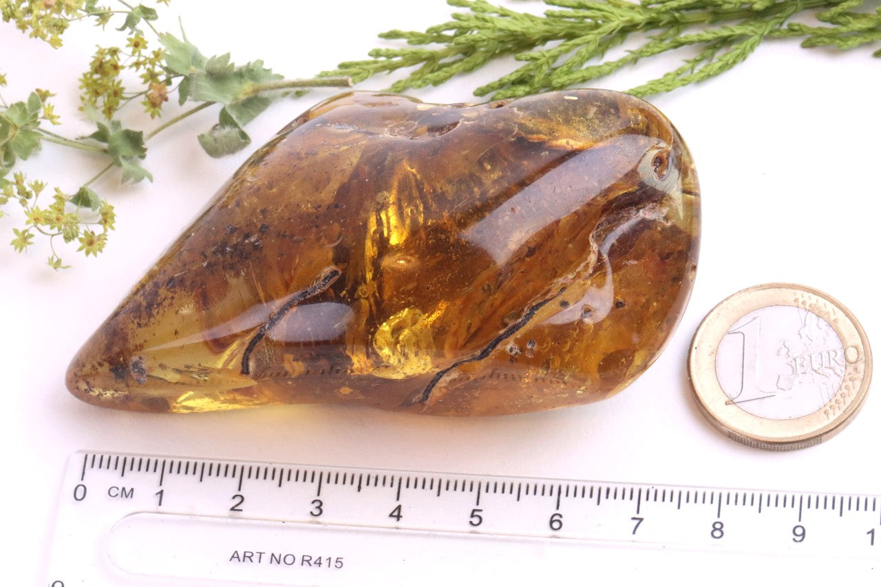 Large Baltic Amber Gem with Rare Inclusion & Air Bubbles
