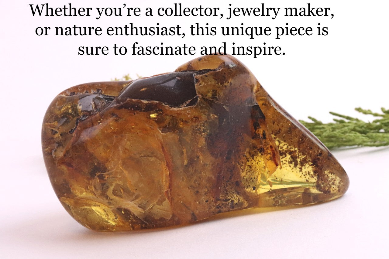 Large Baltic Amber Gem with Rare Inclusion & Air Bubbles