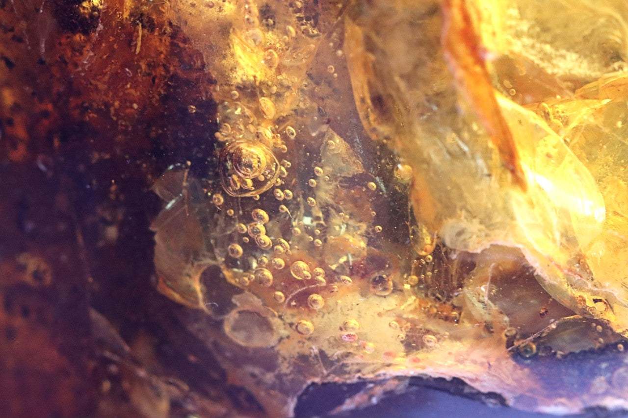 Large Baltic Amber Gem with Rare Inclusion & Air Bubbles