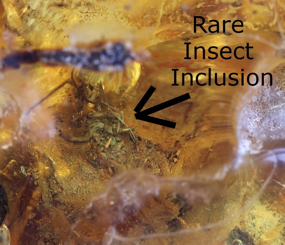 Large Baltic Amber Gem with Rare Inclusion & Air Bubbles