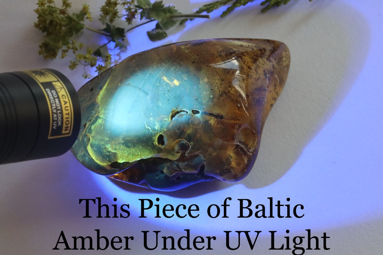 Large Baltic Amber Gem with Rare Inclusion & Air Bubbles