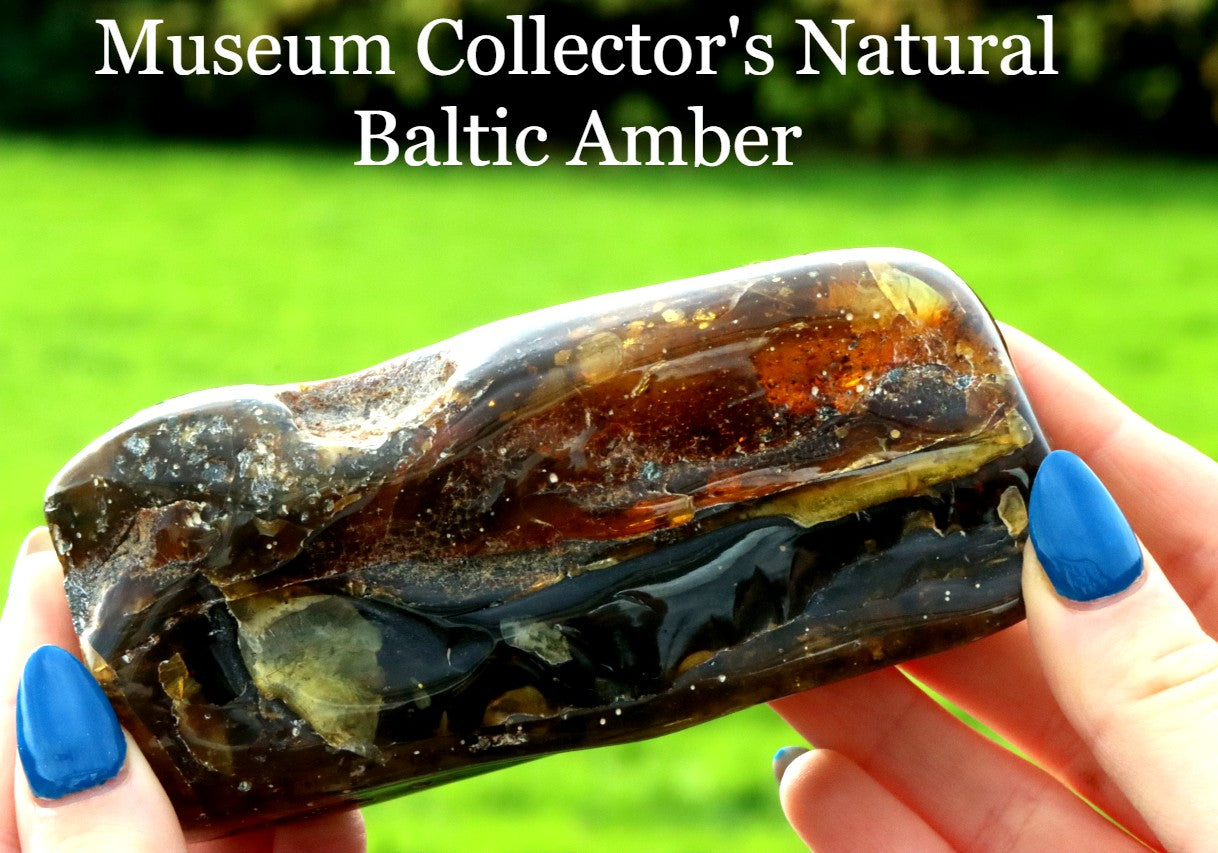 Unbelievable Large 173g Baltic Amber Collector's Gem