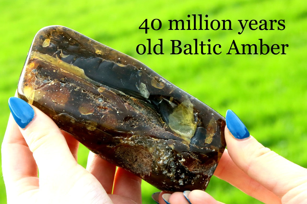 Unbelievable Large 173g Baltic Amber Collector's Gem