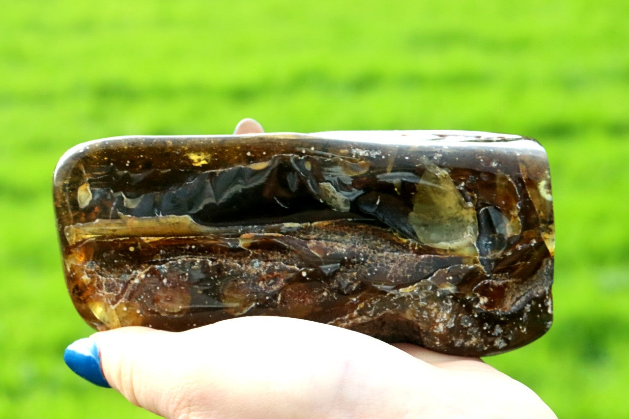 Unbelievable Large 173g Baltic Amber Collector's Gem