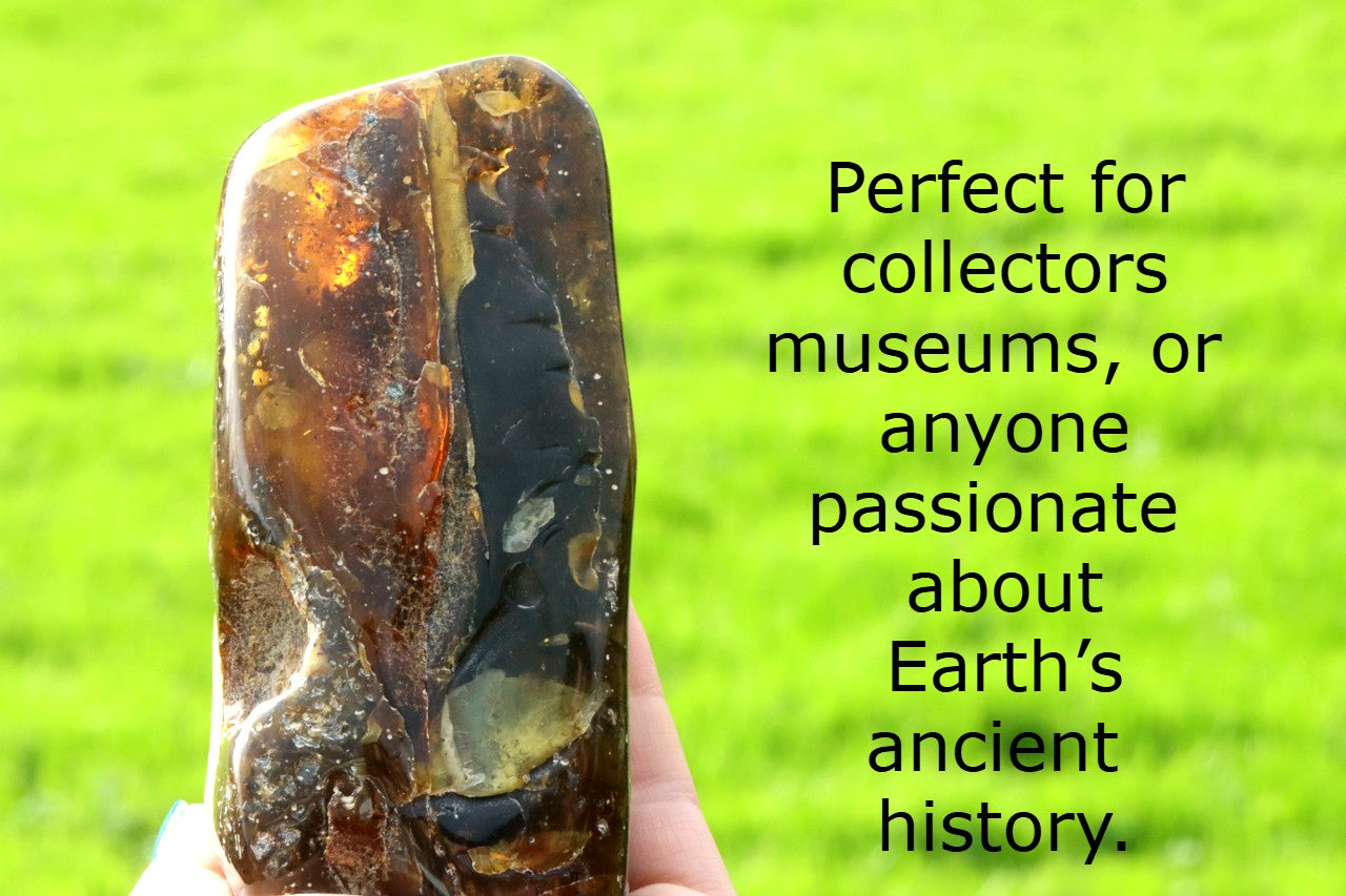 Unbelievable Large 173g Baltic Amber Collector's Gem
