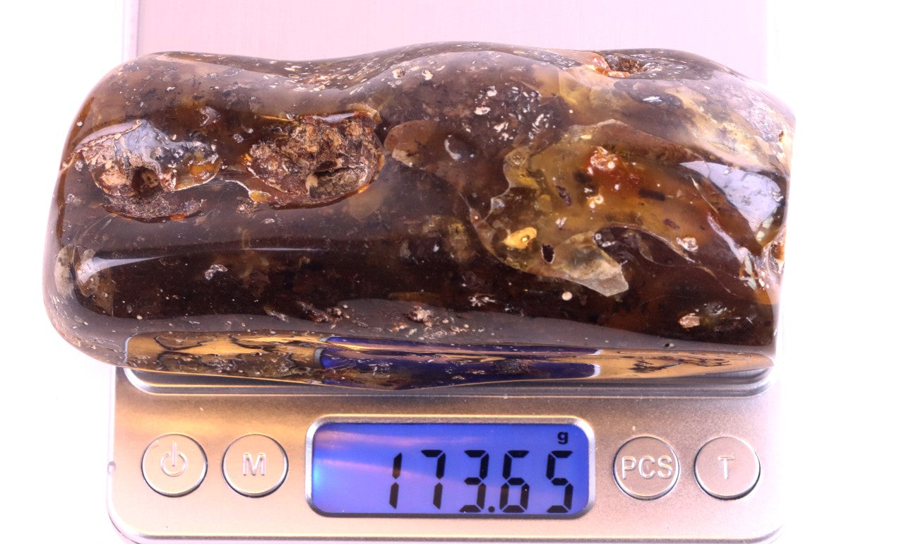 Unbelievable Large 173g Baltic Amber Collector's Gem