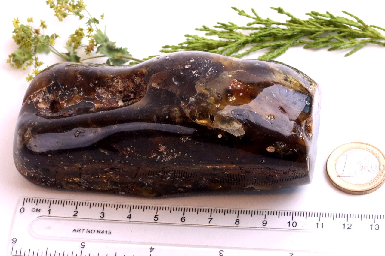 Unbelievable Large 173g Baltic Amber Collector's Gem