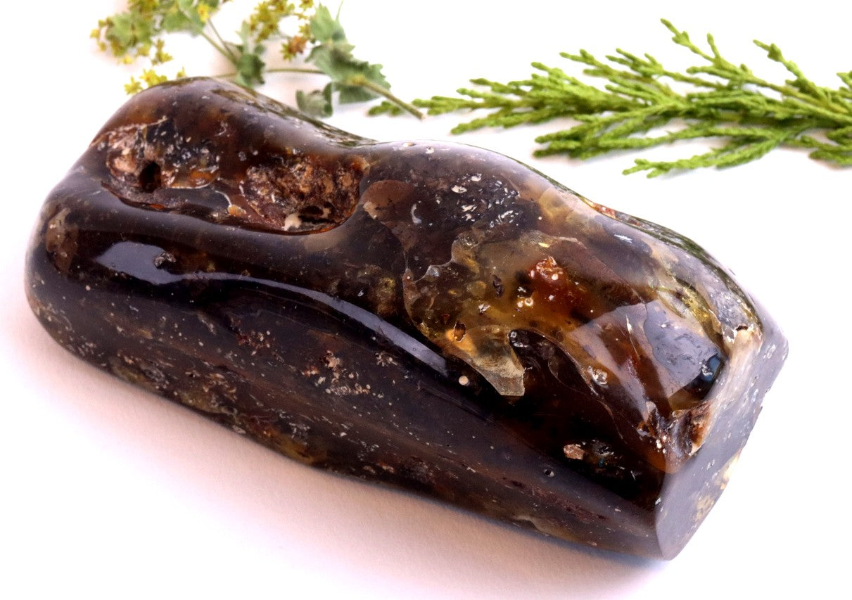 Unbelievable Large 173g Baltic Amber Collector's Gem