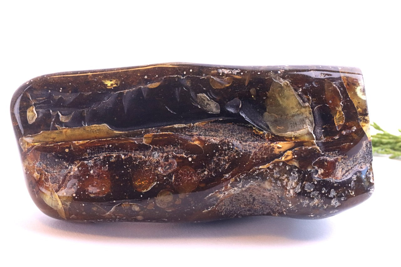 Unbelievable Large 173g Baltic Amber Collector's Gem