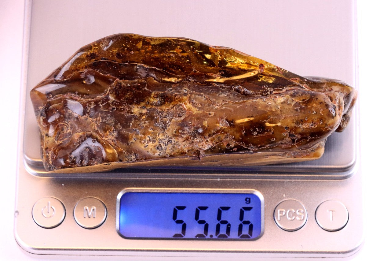 Large Baltic Amber Gem Natural Quirky Gemstone