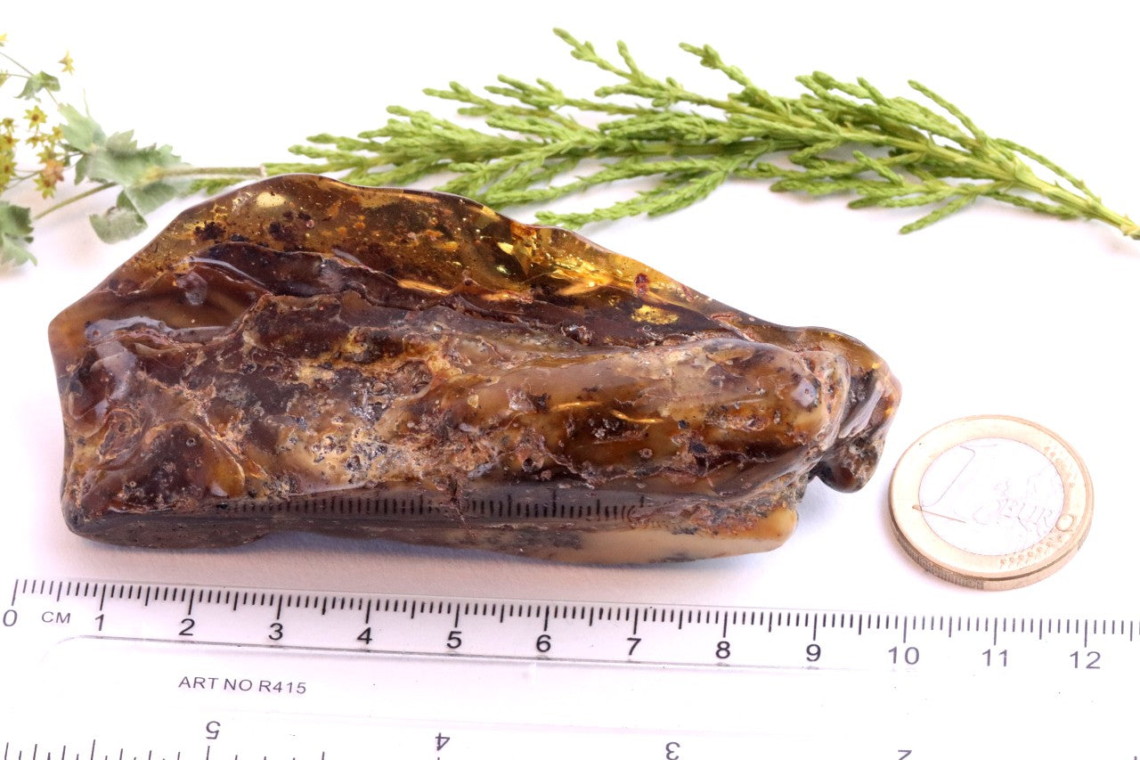 Large Baltic Amber Gem Natural Quirky Gemstone