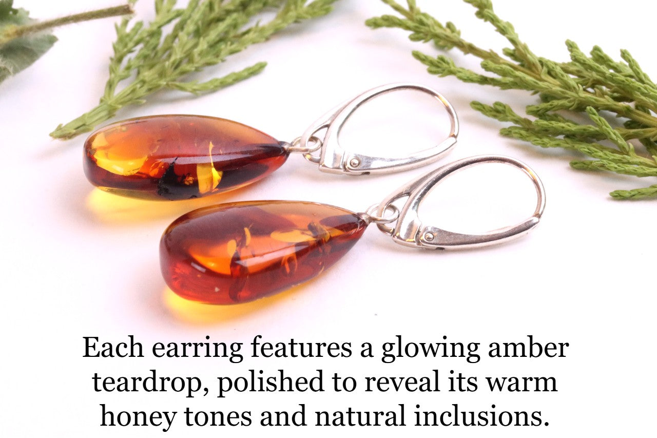Amber Teardrop Earrings on 925 Sterling Silver
