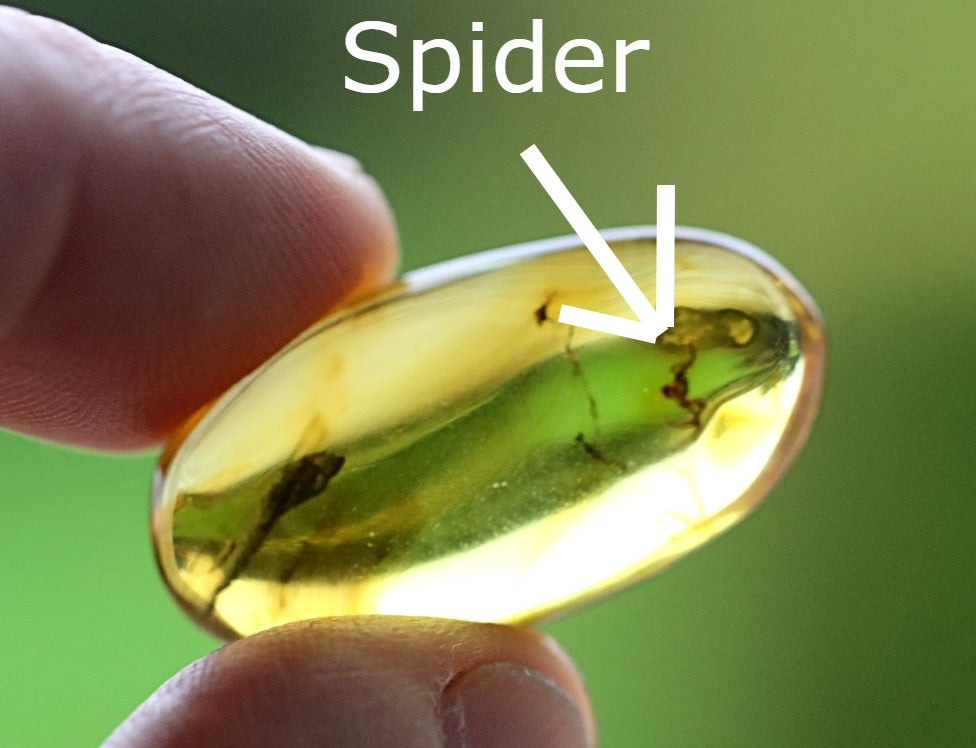 Baltic Amber with Spider Inclusion