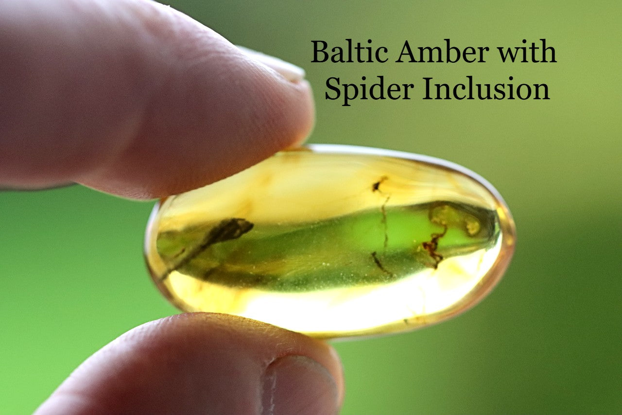Baltic Amber with Spider Inclusion