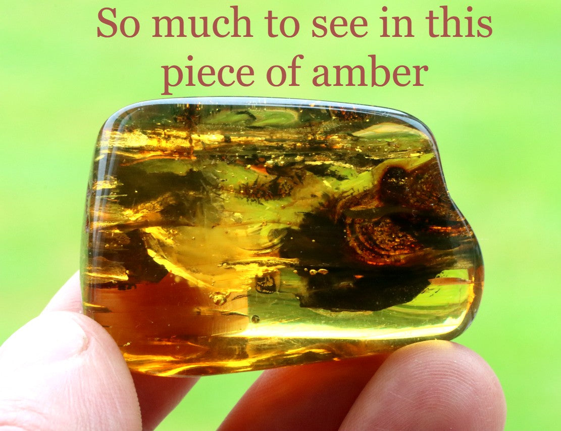 Natural Amber Gemstone – Unique Collector’s Gem