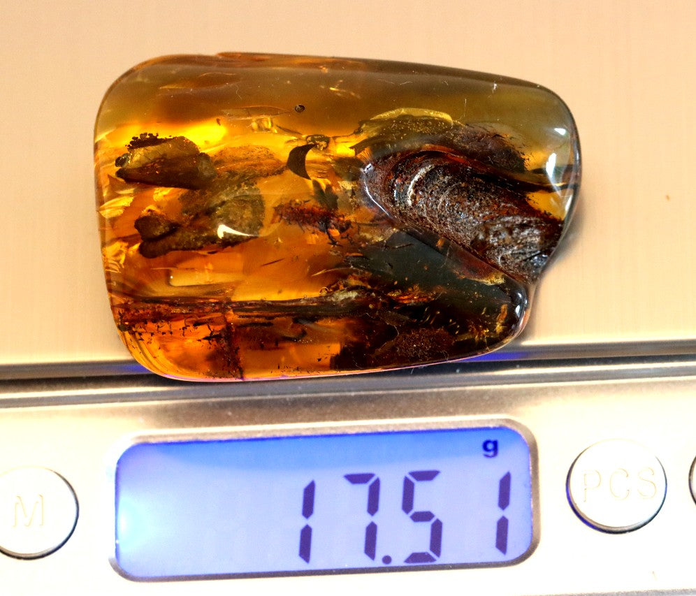 Natural Amber Gemstone – Unique Collector’s Gem