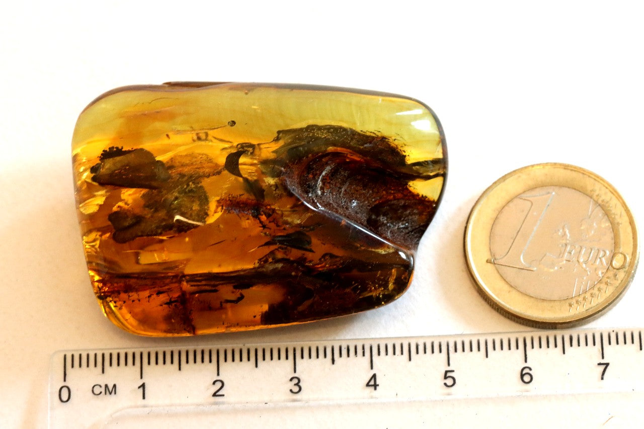 Natural Amber Gemstone – Unique Collector’s Gem