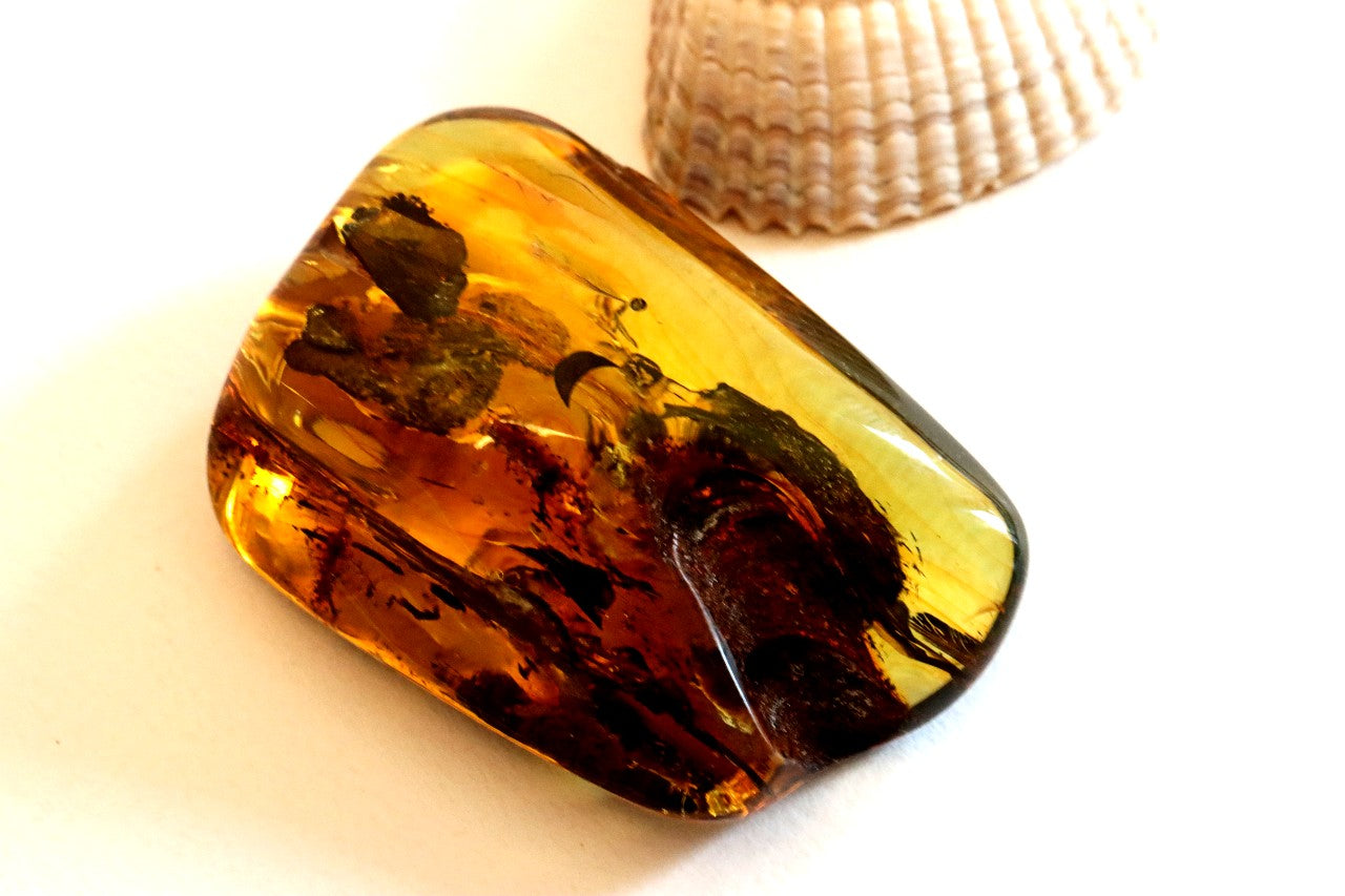 Natural Amber Gemstone – Unique Collector’s Gem